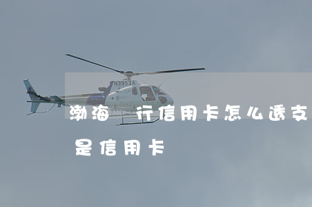 渤海銀行信用卡怎么透支(渤海銀行的借記卡是信用卡嗎)