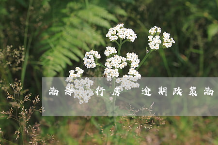 渤海銀行房貸逾期政策（渤海銀行貸款逾期查詢）