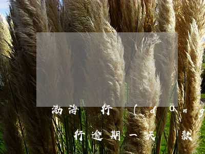 渤海銀行當(dāng)天還款算逾期(渤海銀行逾期一天還款會(huì)不會(huì)影響征信)