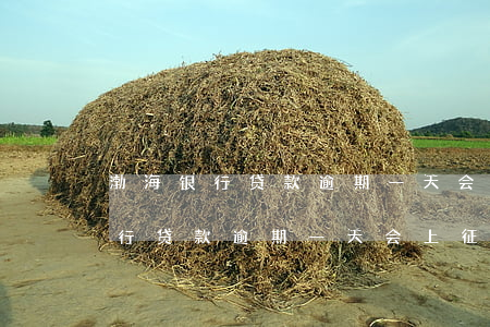 渤海银行贷款逾期一天会上征信吗-渤海银行贷款逾期一天会上征信吗知乎