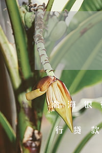 渤海银行贷款逾期能个性化分期吗-渤海银行贷款逾期能个性化分期吗?