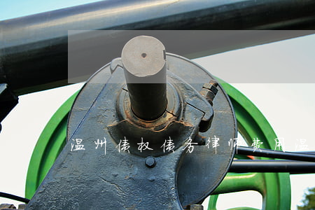 温州债权债务律师费用(温州债务纠纷律师)
