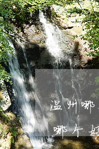 温州哪个律师所有名气(温州永嘉律师事务所哪个好)