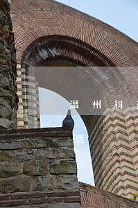 温州科泰建设逾期(温州科泰售后维修中心电话)