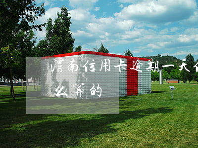 渭南信用卡逾期一天(信用卡 逾期一天 利息怎么算的)