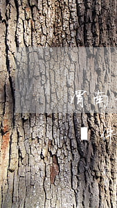 渭南信用卡逾期停息分期申請(qǐng)條件-渭南信用卡逾期停息分期申請(qǐng)條件是什么