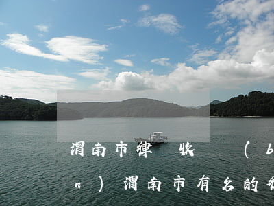 渭南市律師收費標(biāo)準(zhǔn)(渭南市有名的律師是誰)