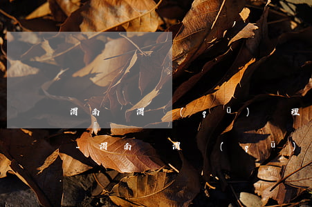 渭南臨渭區(qū)辦理信用貸逾期的律師-渭南臨渭區(qū)辦理信用貸逾期的律師事務(wù)所