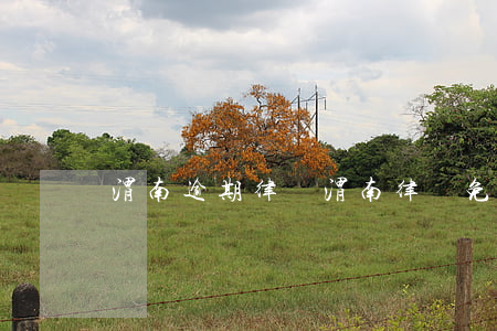 渭南逾期律師(渭南律師免費咨詢)