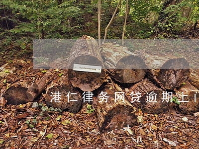 港仁律务网贷逾期上门(网贷港仁律师事务所)