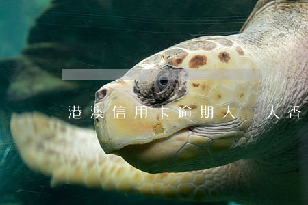 港澳信用卡逾期(大陸人香港信用卡逾期)