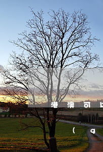港澳可以司法拘留嗎(對香港人刑事拘留有何規(guī)定)