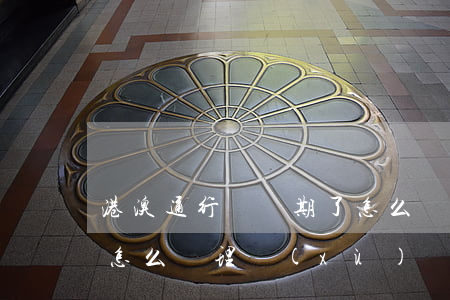 港澳通行證過期了怎么辦(港澳通行證過期了怎么辦理續(xù)簽)