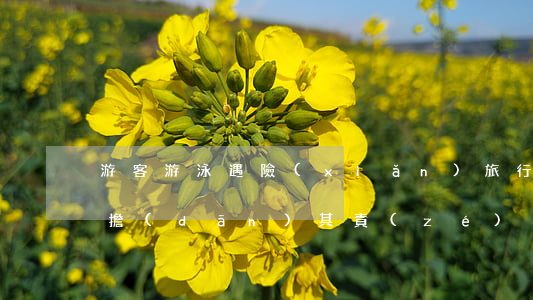 游客游泳遇險(xiǎn) 旅行社游樂園各擔(dān)其責(zé)
