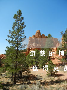 游戲廳捕魚游戲(游戲廳捕魚游戲技巧:如何獲得更多積分)