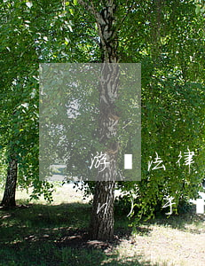 游戲法律法規(guī)說明(關(guān)于網(wǎng)絡(luò)游戲法律的規(guī)定)