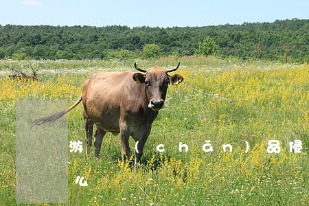 游戲產(chǎn)品侵權(quán)怎么處罰