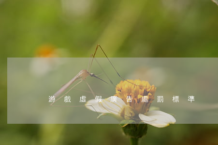 游戲虛假廣告處罰標準