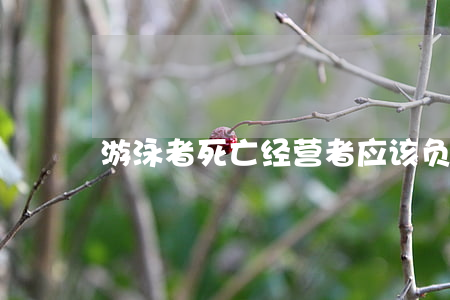 游泳者死亡经营者应该负责赔偿吗