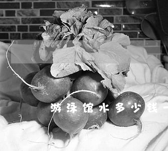 游泳馆水多少钱一吨(游泳馆用水多少钱一吨)