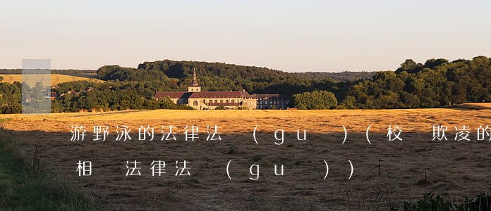 游野泳的法律法規(guī)(校園欺凌的相關法律法規(guī))