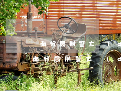 渾南分局刑警大隊(duì)信用卡逾期(渾南分局刑警大隊(duì)信用卡逾期)