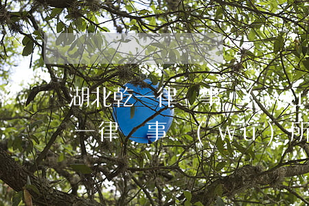 湖北乾一律師事務(wù)所靠譜嗎(湖北乾一律師事務(wù)所靠譜嗎)