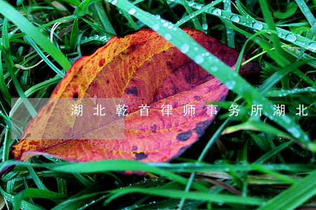 湖北乾首律师事务所(湖北武当律师事务所)