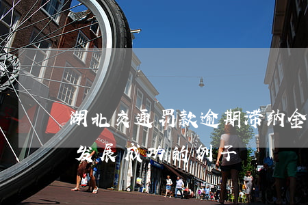湖北交通罚款逾期滞纳金怎么规定(去大城市发展成功的例子)