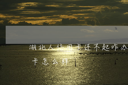 湖北人信用卡还不起咋办-湖北银行的信用卡怎么样