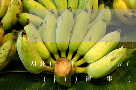 湖北仁義律師事務(wù)所怎么樣(湖北仁濟(jì)律師事務(wù)所)