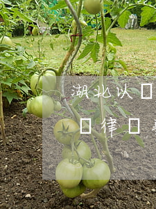 湖北以誠律師事務(wù)所怎么樣(湖北赫誠律師事務(wù)所有沒有方明律師)