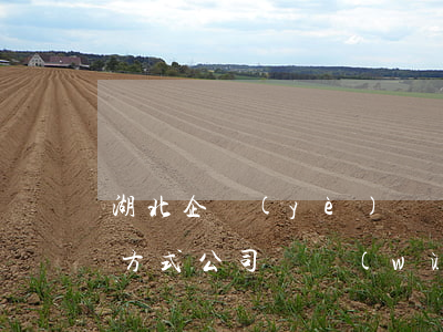 湖北企業(yè)債務(wù)逾期有哪些方式(公司債務(wù)逾期的原因)