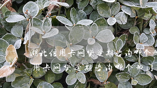 湖北信用卡网贷逾期咨询哪个部门-湖北信用卡网贷逾期咨询哪个部门处理
