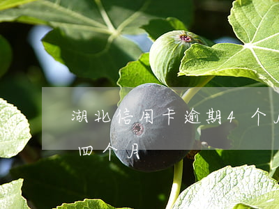 湖北信用卡逾期4个月(信用卡3000逾期四个月)