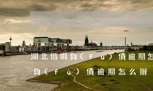 湖北借唄負(fù)債逾期怎么辦(湖北借唄負(fù)債逾期怎么辦)