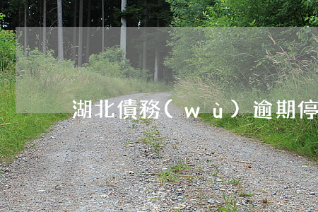 湖北債務(wù)逾期停息掛賬哪家好