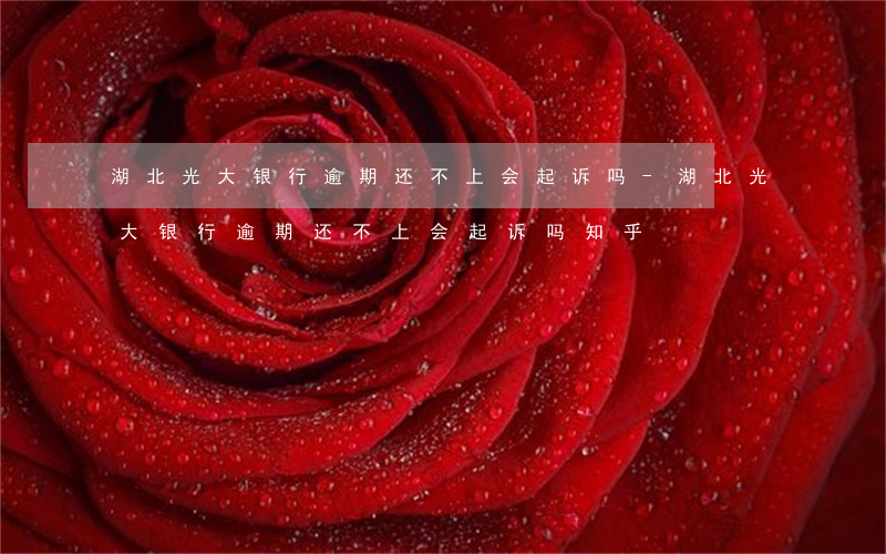 湖北光大银行逾期还不上会起诉吗-湖北光大银行逾期还不上会起诉吗知乎