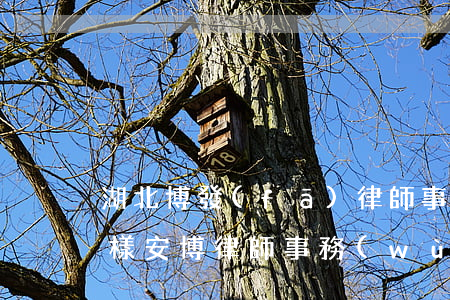 湖北博發(fā)律師事務(wù)所怎么樣(安博律師事務(wù)所怎么樣)