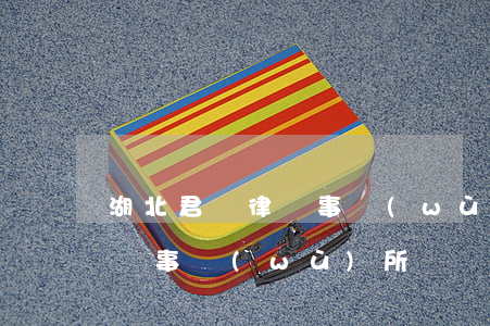 湖北君納律師事務(wù)所(湖北楚義君律師事務(wù)所)