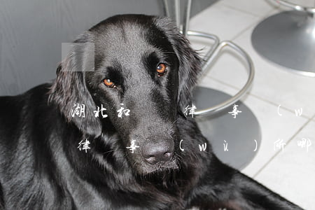 湖北和開勝律師事務(wù)所靠譜嗎(成武律師事務(wù)所哪家好)