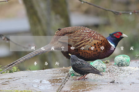 湖北咸宁哪个律师厉害(咸宁比较有名的律师事务所)