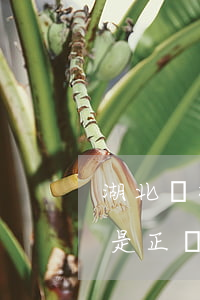 湖北國雄是正規(guī)公司嗎(湖北國雄是正規(guī)公司嗎)