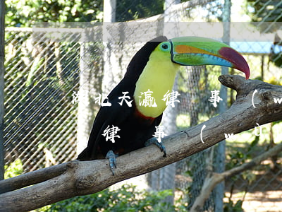 湖北天瀛律師事務(wù)所靠譜嗎(湖北瀛滄律師事務(wù)所怎么樣)