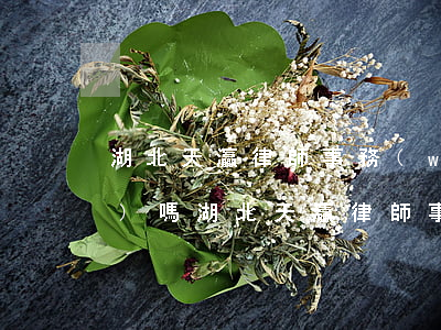 湖北天灜律師事務(wù)所正規(guī)嗎(湖北天灜律師事務(wù)所正規(guī)嗎)