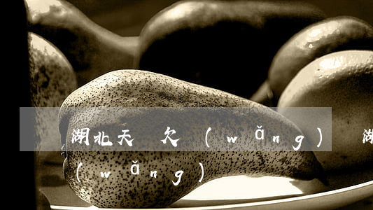 湖北天門欠網(wǎng)貸(湖北天門欠網(wǎng)貸)
