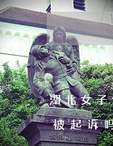 湖北女子借呗逾期一年(借呗逾期一年多了会被起诉吗,催收是上海打来的)