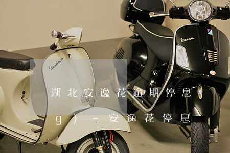 湖北安逸花逾期停息掛賬怎么申請(qǐng)-安逸花停息掛帳