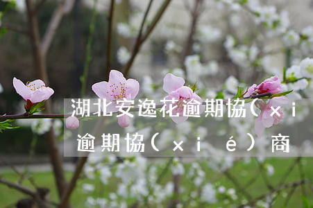 湖北安逸花逾期協(xié)商(湖北安逸花逾期協(xié)商)