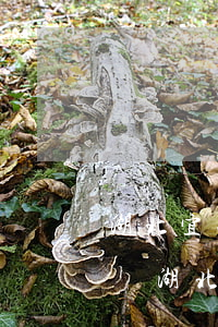 湖北宜昌債務(wù)糾紛律師預(yù)約 湖北宜昌債務(wù)糾紛律師預(yù)約平臺(tái)